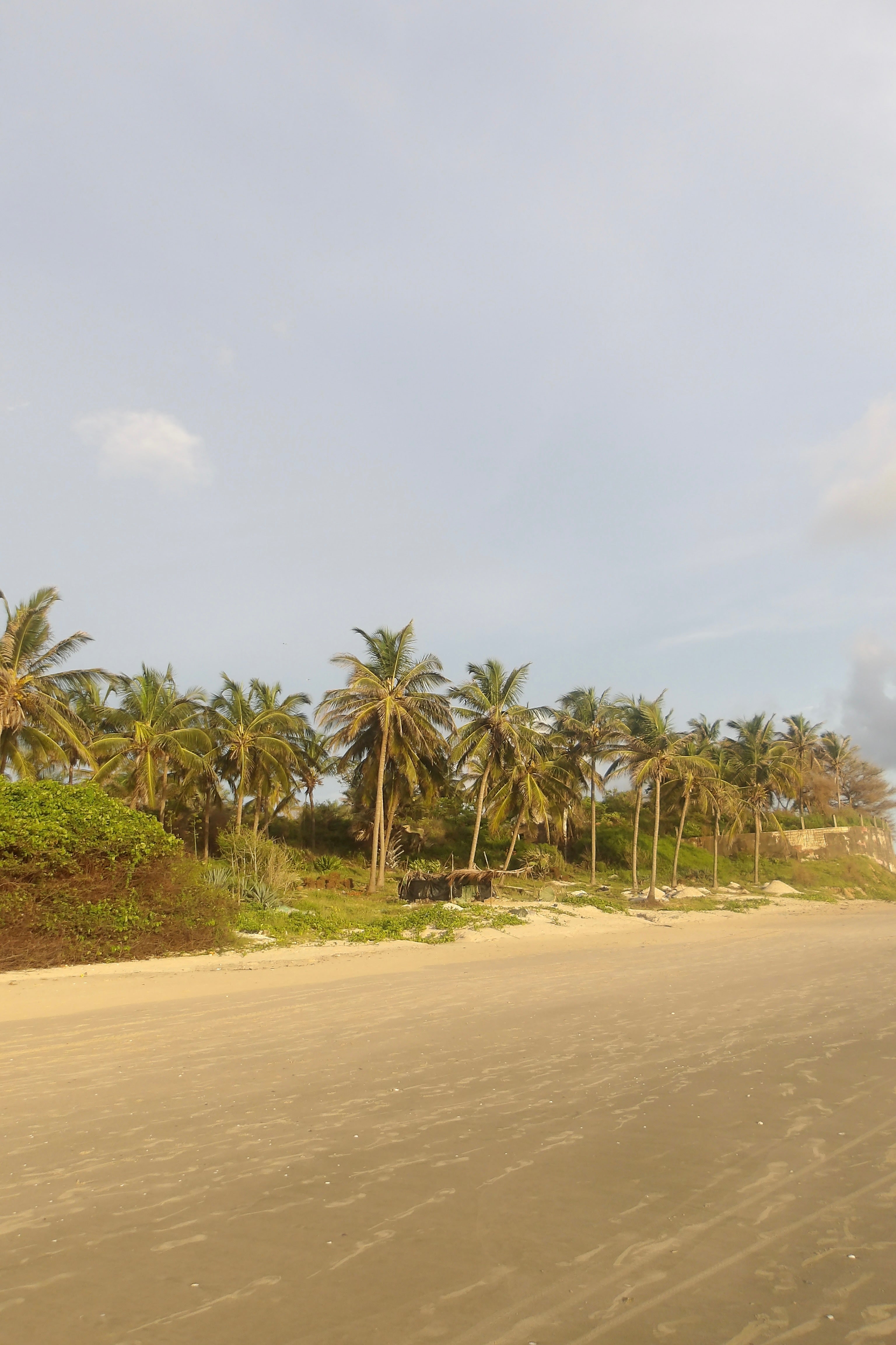 🏝️ Découvrir la Petite Côte : les plus belles plages du Sénégal