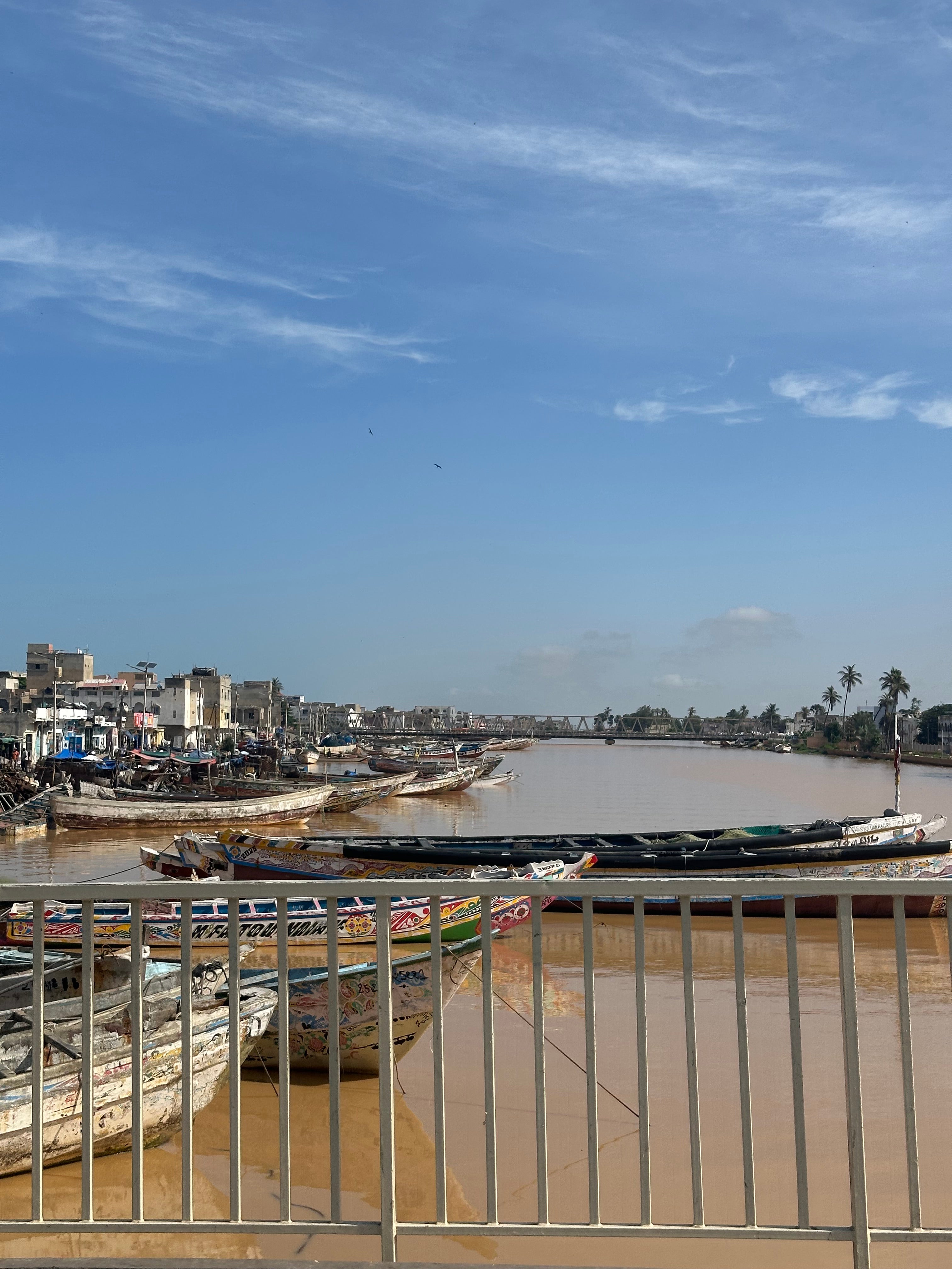 Que faire au Sénégal : les 10 expériences incontournables à vivre absolument