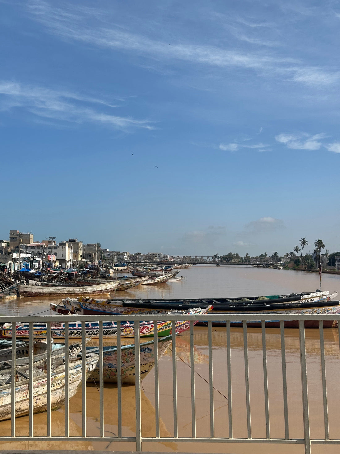 Que faire au Sénégal : les 10 expériences incontournables à vivre absolument