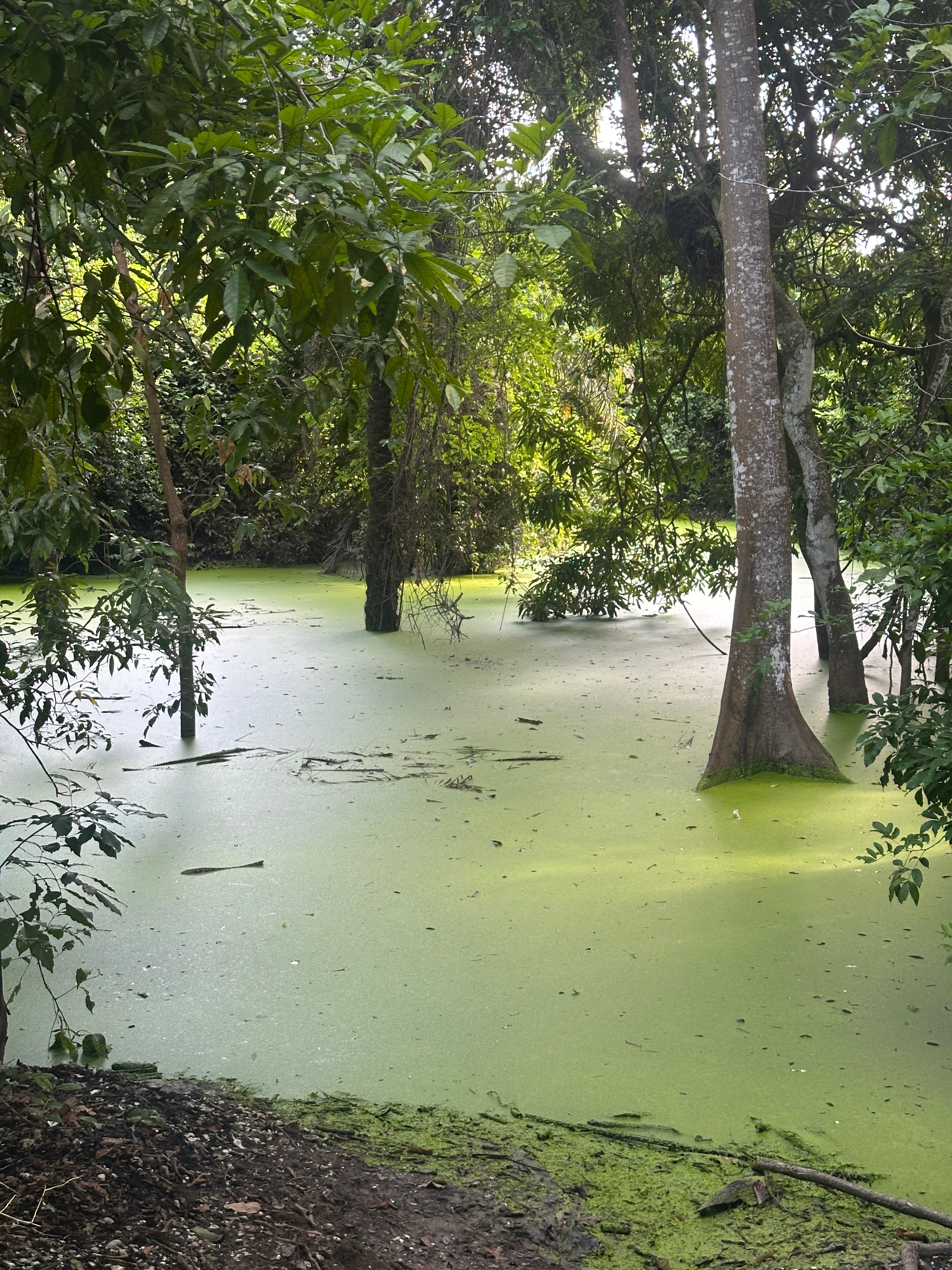 Découverte de la Casamance en 4-7 jours