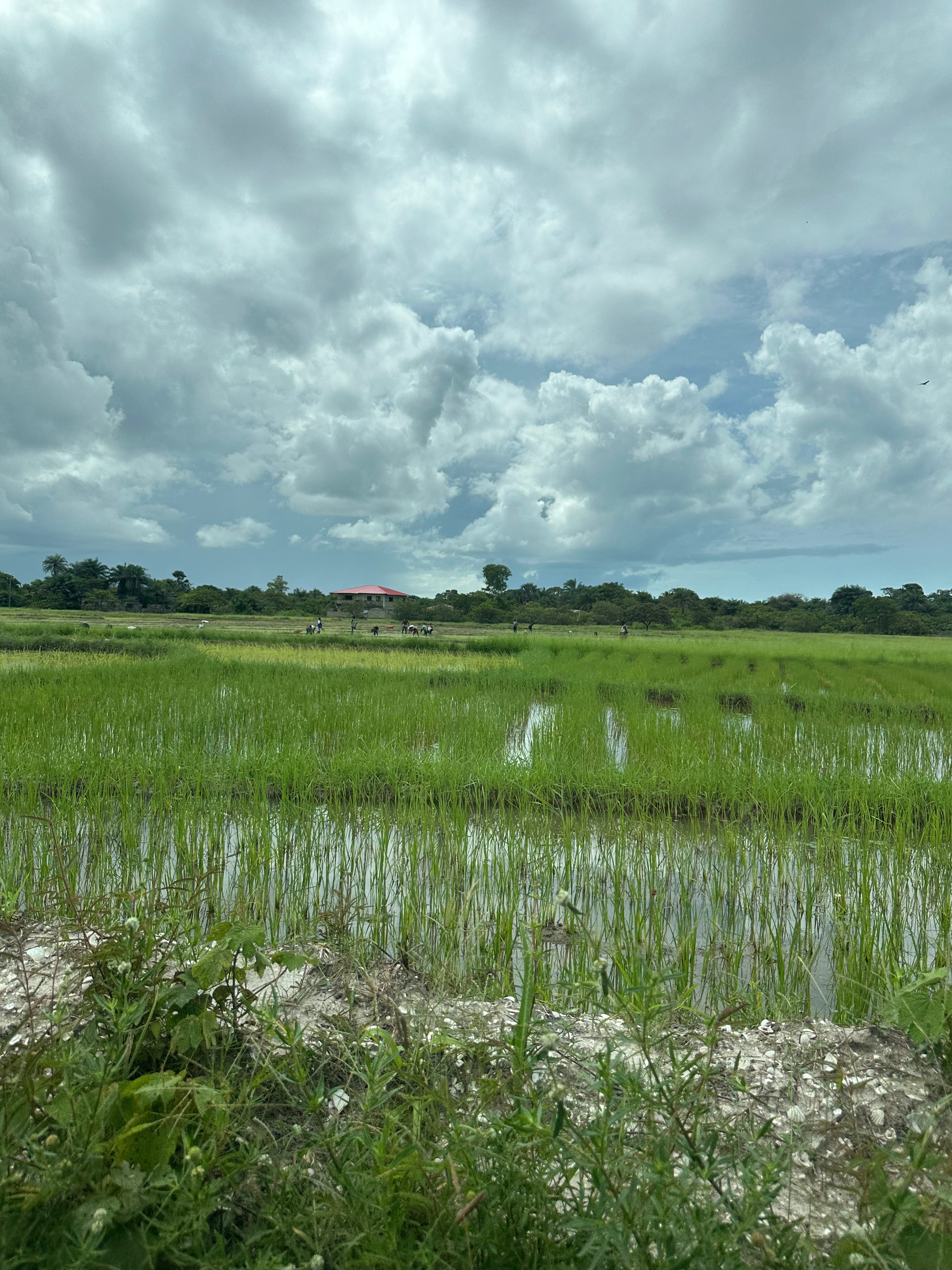 Découverte de la Casamance en 4-7 jours