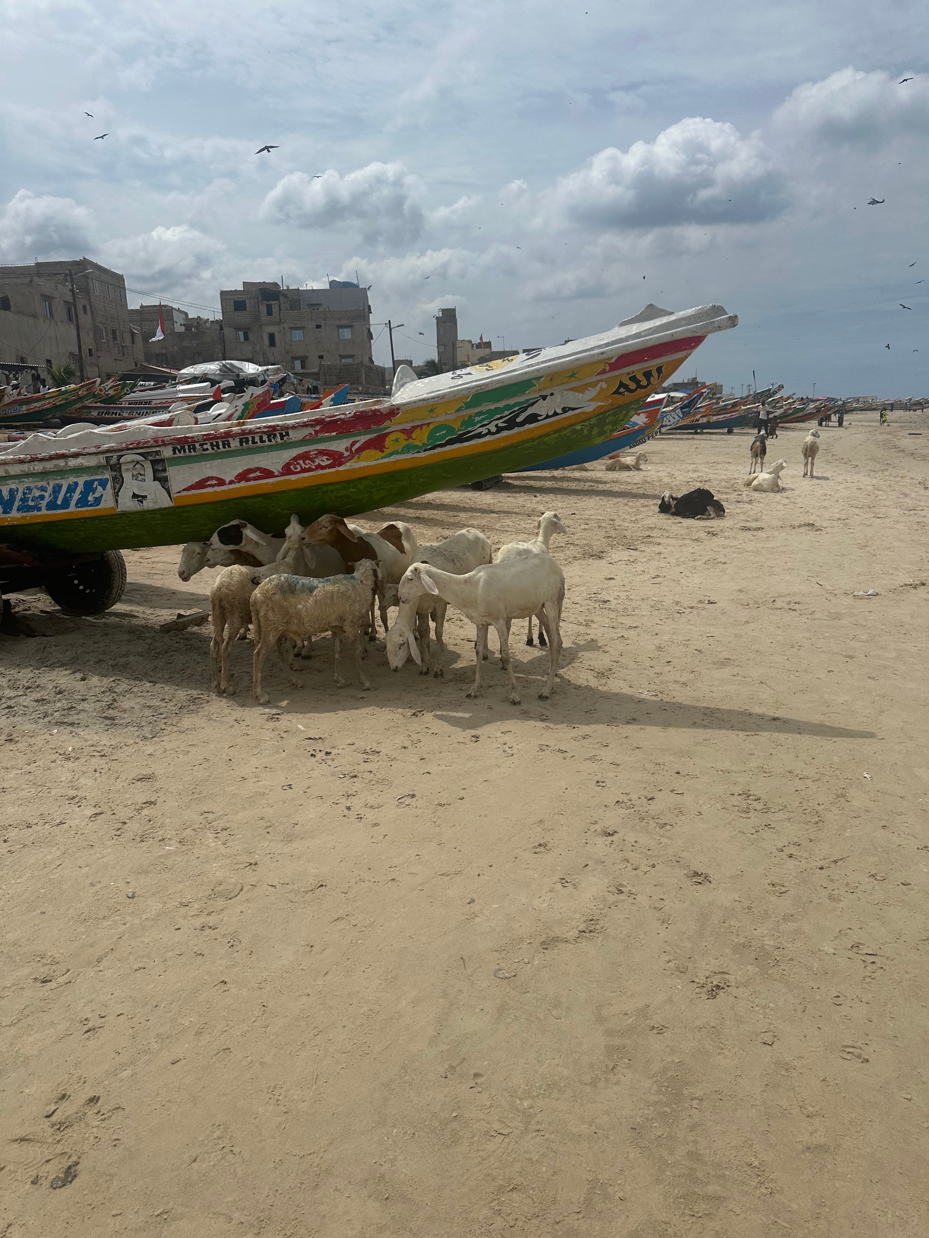 Visite de Dakar – 4 jours